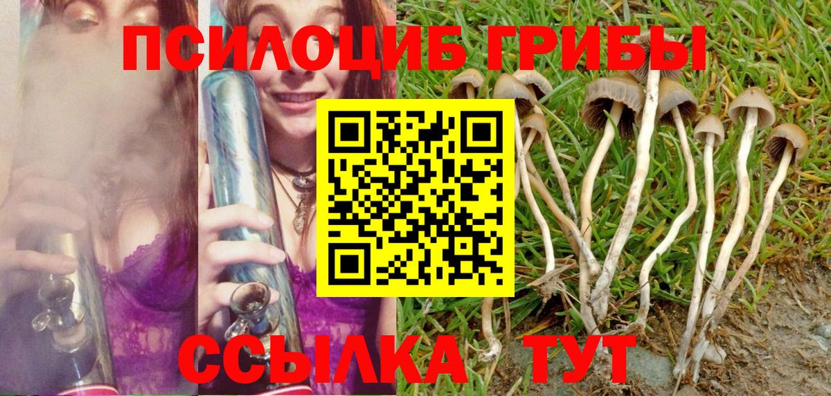 Галлюциногенные грибы мицелий Аксай