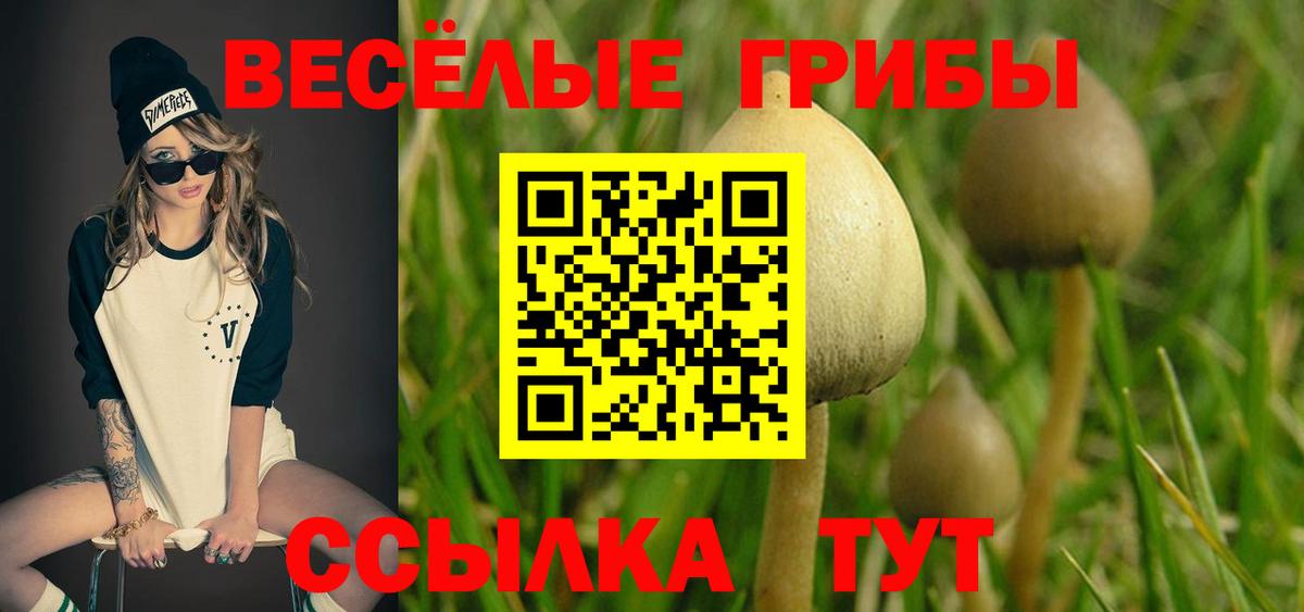 Псилоцибиновые грибы прущие грибы  Галлюциногенные грибы мухоморы  Вход с VPN  Аксай 